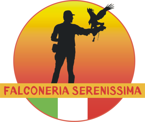 Associazione Culturale Falconeria Serenissima